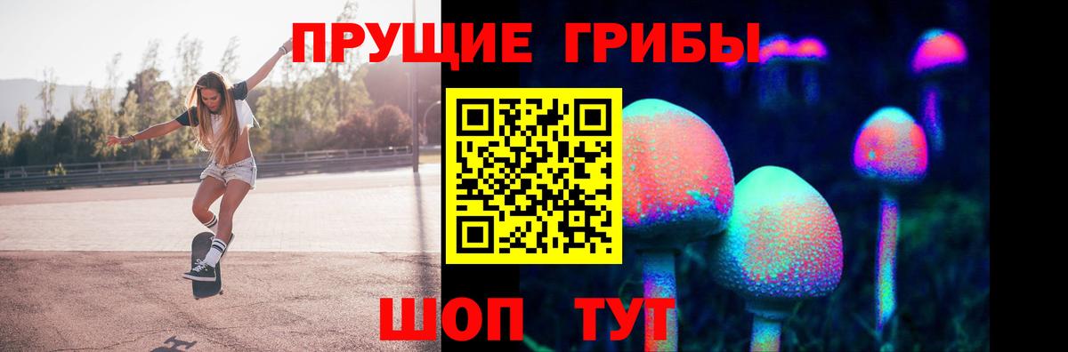 Псилоцибиновые грибы мицелий Татарск