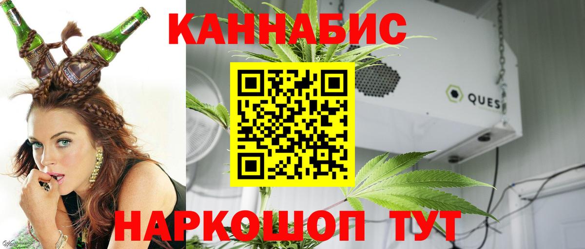 МАРИХУАНА планчик  Каннабис план  Татарск  Вход с VPN  Канабис THC 21% 